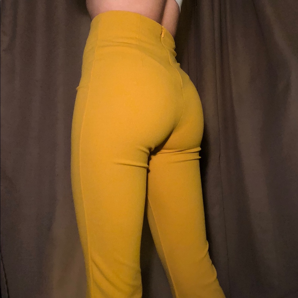 bottom pants